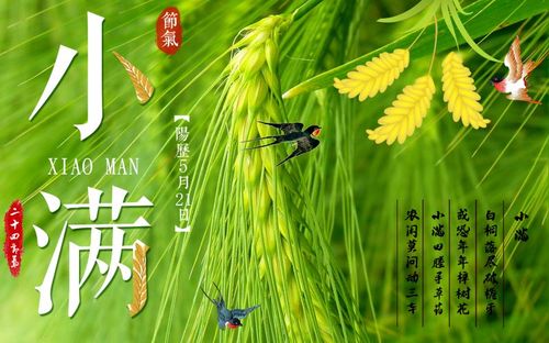 小滿節氣的含義是什么