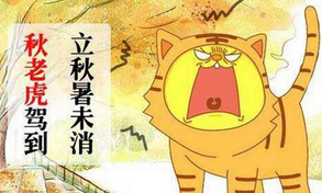 秋老虎一般發生在什么時候,為什么厲害還分公母