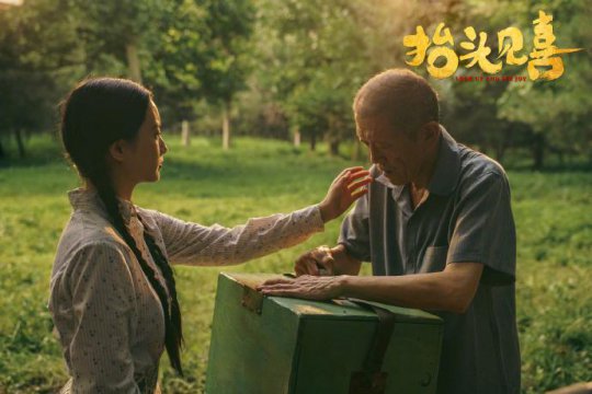 抬頭見喜電影什么時候播，為什么不在電影院放嗎