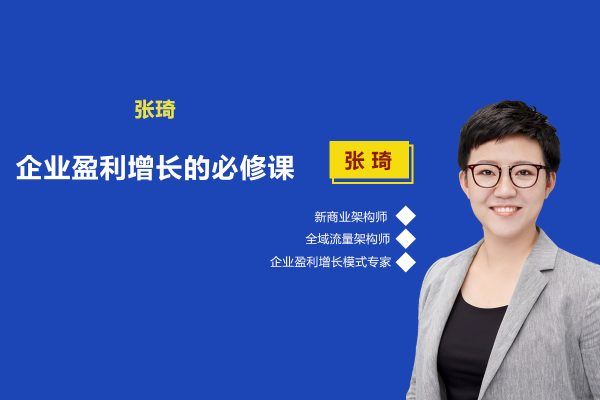 張琦-商業(yè)創(chuàng)新之引爆利潤增長，引爆流量業(yè)績利潤