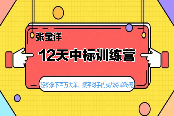 張金洋-12天中標(biāo)訓(xùn)練營-輕松拿下百萬大單，擺平對手的實戰(zhàn)奪單秘籠