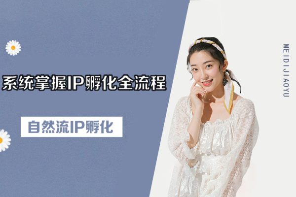 自然流IP孵化，系統掌握IP孵化全流程