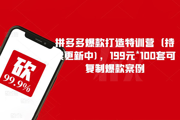 拼多多爆款打造特訓(xùn)營(yíng)，199元*100套可復(fù)制爆款案例