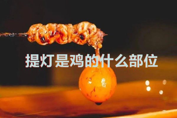 提燈是雞的什么部位（提燈有什么營(yíng)養(yǎng)價(jià)值）