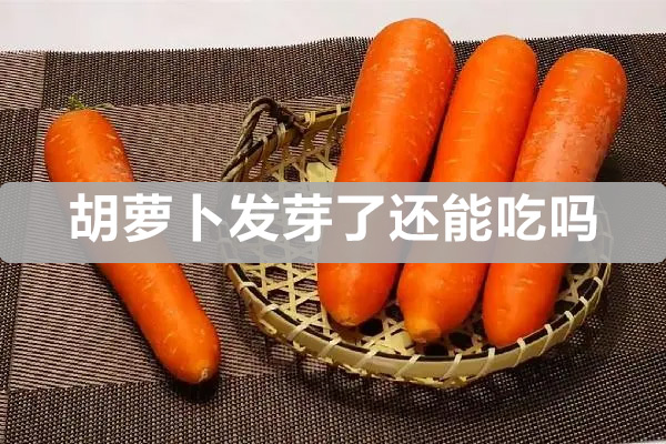 胡蘿卜發(fā)芽了還能吃嗎（胡蘿卜為什么會(huì)長(zhǎng)裂開）