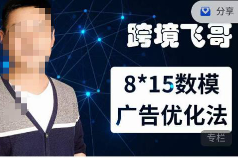 跨境飛哥·廣告優化高階課第二十三期，?8*15數模廣告優化法，用數據驅動決策