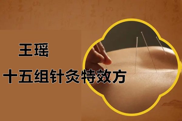 醫(yī)脈相承王瑤十五組針灸特效方