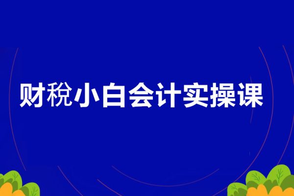 石彥文-財(cái)稅小白會(huì)計(jì)實(shí)操課