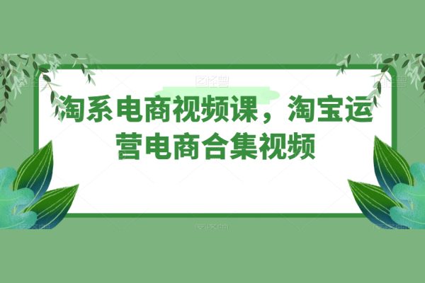 淘系電商視頻課，淘寶運營電商合集視頻