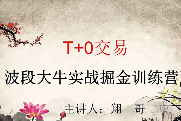 T+0交易波段大牛實戰(zhàn)掘金訓(xùn)練營實戰(zhàn)課程