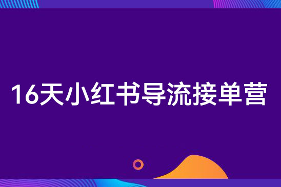 16天小紅書導流接單營，教你引爆流量，在小紅書精準獲客+轉化成交
