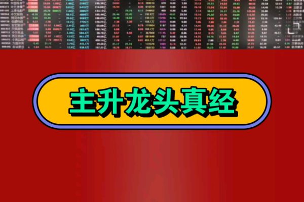 淘股吧-主升龍頭真經(jīng)直播課全集
