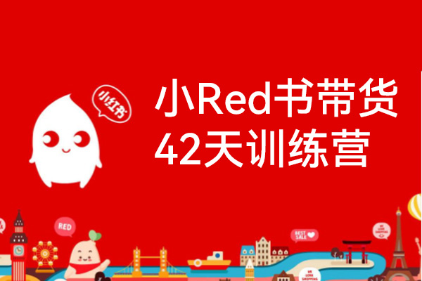 小Red書(shū)帶貨42天訓(xùn)練營(yíng)（2.0版），普通人月收過(guò)萬(wàn)的帶貨課，零門檻無(wú)壓貨
