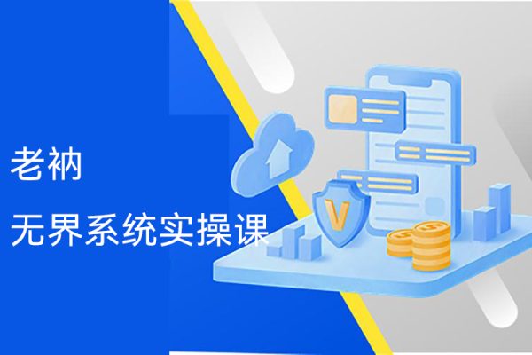 老衲·無界系統(tǒng)實(shí)操課，全體系落地?zé)o界改版后選擇、出價(jià)、高投產(chǎn)做付費(fèi)引流