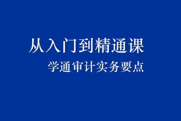 從入門到精通課學通審計實務(wù)要點