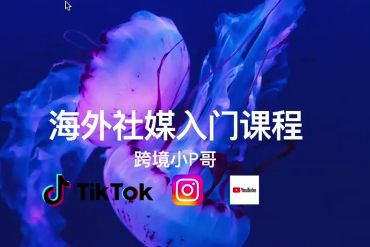 跨境小P哥海外社媒運營課，理論+演練，全流程