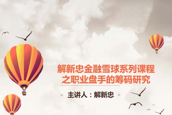 職業(yè)操盤手籌碼技術(shù)視頻共9課（解新忠）