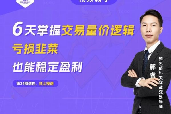 6天掌握交易量價邏輯，虧損韭菜也能穩定盈利 | 威科夫6天交易小白課