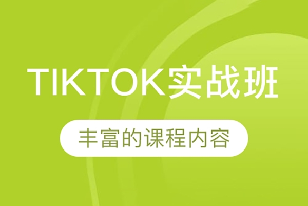 TikTok達人實戰課，Tiktok達人變現全套流程