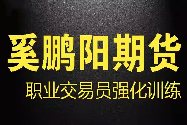 奚鵬陽(yáng)期貨課程 職業(yè)交易員強(qiáng)化訓(xùn)練營(yíng) 買(mǎi)賣(mài)核心技術(shù)視頻全套