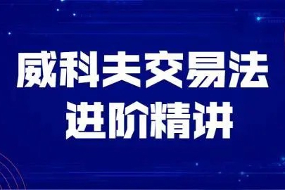 飛云金教《威科夫量價分析》