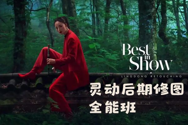 劉楊靈動(dòng)后期修圖全能班2024