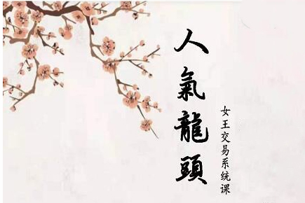 短線女王人氣女王人氣龍頭基礎(chǔ)視頻課程