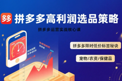 久號老師·拼多多選品暴利技術實戰課，拼多多高利潤選品策略，拼多多限時低價標簽秘訣