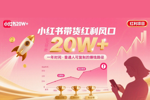 一年時間靠小紅書帶貨項目年入20w+，最不能錯的大紅利項目