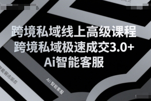 跨境私域線上高級課程，跨境私域極速成交3.0+Ai智能客服