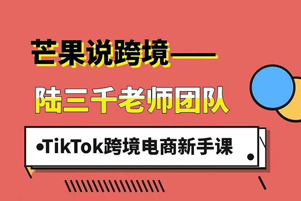 陸三千TikTok跨境電商新手課，TikTok從入門到盈利的全流程！2025年最新最有效的運營策略和平臺規(guī)則。