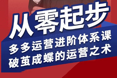 海神·拼多多運營進階系統課，從零起步，多多運營進階體系課，破繭成蝶的運營之術