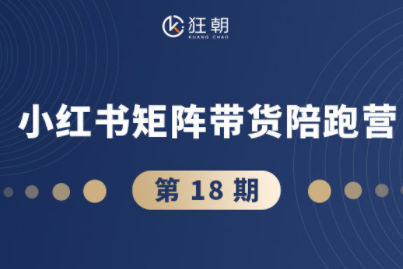 盜坤·抖音小紅書視頻號(hào)短視頻帶貨與直播變現(xiàn)(11