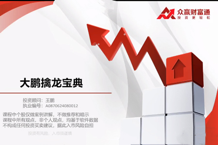 王鵬-大鵬擒龍寶典系列課程